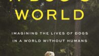 A Dog’s World: Imagining the Lives of Dogs in a World without Humans by Jessica Pierce, Marc Bekoff From two of the world’s leading authorities on dogs, an imaginative journey […]