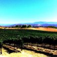 Touring wine country always brings about a tranquil serenity to my mind. Theres something timeless and romantic about the quiet beauty of the slow aging fields of grapevines. As you […]