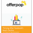 Don’t be discouraged by Facebook’s organic reach decline! Learn how experts continue to drive ROI with social. http://bit.ly/ThrivingFacebookSocial In recent months, Facebook released a series of changes to its algorithm, […]