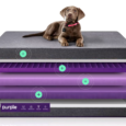 Purple.com Delivers ScienceyOrthopedic Comfort Purple’s Smart Comfort Grid™ is engineered to adapt to your pet’s body for deep pressure relief and support. Keeps Your PetFunky-Fresh Just throw the antimicrobial, moisture-resistant, […]