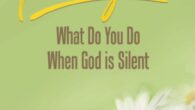 Unanswered Prayer: What Do You Do When God is Silent – 30-Day Devotional by Linda Agnew The “weight” of waiting on God. Welcome to the elite club of waiting…on God! […]