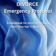 Divorce: Emergency Protocol by AJ Maddeny https://www.amazon.com/Divorce-Emergency-Protocol-AJ-Maddeny/dp/B0FFYP9JJ8 Maddeny.com Divorce: Emergency Protocol is a structural survival guide for the most disorienting phase of separation — the moment after one spouse says […]