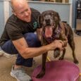 Unlocking Pet Wellness: The Five Pillars of the Coerenza Approach Thecoerenzaapproach.com Primepetrehab.com About the Guest(s): Dr. Tom Walsh is a veterinarian and specialist in animal physical therapy, the founder of [&hellip;]