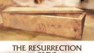 The Resurrection of the Roman Catholic Church: A guide to the Traditional Catholic community by Griff Ruby https://www.amazon.com/Resurrection-Roman-Catholic-Church-Traditional/dp/0595250181 For nearly twenty centuries, the Roman Catholic Church withstood all the currents [&hellip;]