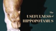 The Usefulness of Hippopotamus: A Humorous Chapbook for Trying Times by Vincent J. Tomeo https://www.amazon.com/Usefulness-Hippopotamus-Humorous-Chapbook-Trying/dp/1639886907 Vincentjosephtomeo.com I am staring at a blank piece of paper, wondering what to write. Where [&hellip;]