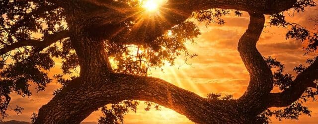When Hope is your Only Option: One Man’s Brave Journey, Through Life’s Adversity by Jim Stavis https://www.amazon.com/When-Hope-your-Only-Option/dp/1970608234 Whenhopeisyouronlyoption.com This book is about overcoming all the odds. It is achievement paired [&hellip;]