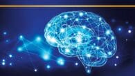 Haystack Full of Needles: A memoir of research on mechanisms of memory in the decades that defined neuroscience by Louis Neal Irwin https://www.amazon.com/dp/1664140603 Lirwin.org How do we store information in [&hellip;]