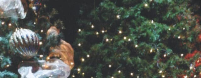Christmas Treasures: The Greatest Treasure is in the Heart by Bruce J Spohn https://www.amazon.com/Christmas-Treasures-Greatest-Treasure-Heart/dp/1470119919 Collection of short stories about Christmas. For any age group that can read from 10 to [&hellip;]