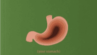 Unlocking Weight Loss: 80 Bites and Hormone Balance Revolution 80bites.com Physicalmindinstitute.com About the Guest(s): Joan Breibart is the distinguished owner of the Physical Mind Institute, renowned for her pioneering work [&hellip;]