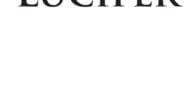 Dialogues with Lucifer by Chet Roberts https://www.amazon.com/Dialogues-Lucifer-Chet-Roberts/dp/B0F1H9MY9T Few would disagree with the observation that we are living in very challenging times. While individual “rights” are touted as the highest goal, [&hellip;]
