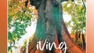 Living Intentionally by Viterose Van Huis https://www.amazon.com/dp/B0CGWFSJMN From an early age, we are influenced by many different voices that constantly suggest how to be more beautiful, healthy, and wealthy, making [&hellip;]