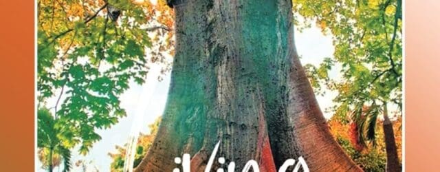 Living Intentionally by Viterose Van Huis https://www.amazon.com/dp/B0CGWFSJMN From an early age, we are influenced by many different voices that constantly suggest how to be more beautiful, healthy, and wealthy, making [&hellip;]