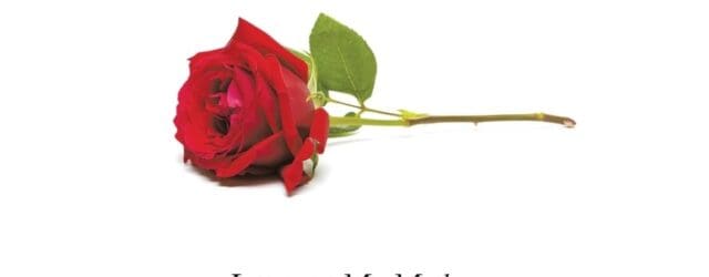 Love, Helen: Letters to My Mother: Creating a Loving Connection after Loss by Helen Fernald https://www.amazon.com/gp/product/B0DJNF31BH Helenfernald.com What if the pain of loss became a path to rediscovered love? In [&hellip;]