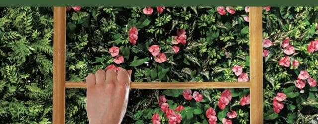 The Road to Happy Destiny by David Sequeira Ph.D. Drdavidsequeira.com I describe how I do therapy. I tell people that I have stolen flowers from other people’s gardens, but the [&hellip;]